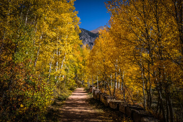 Fototapeta na wymiar Fall Colors near Telluride, Colorado