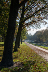 Fototapeta na wymiar Transportation in the Netherlands, special bicycle lanes for safe cycling in Brabant in sunny autumn day