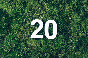 Green grass, digit twenty. Birthday greeting card with inscription 20. Anniversary concept. Top view. White numeral on eco moss background. Numerical digit, Celebration event, template, flyer