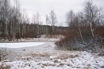 Trees near the river