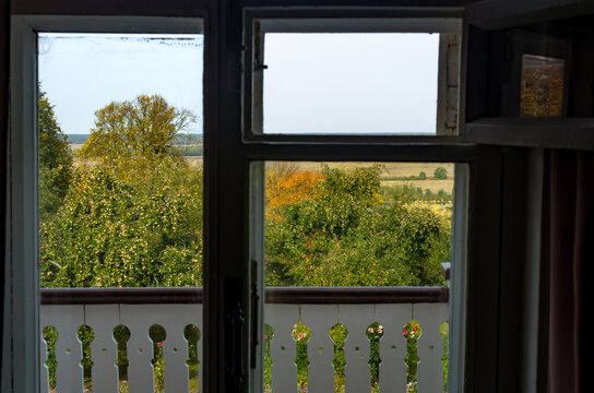 View on an apple orchard through an old window with focus on the trees. Countryside view with trees in rich golden and green colors.