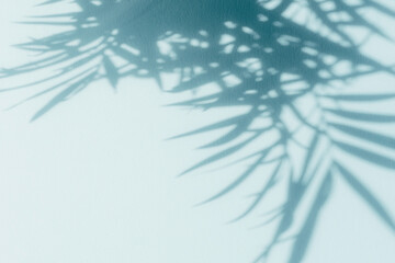 Obraz premium Palm leaf shadows on blue wall. Copy space. Backdrop texture for design