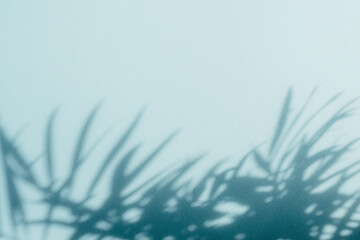 Palm leaf shadows on blue wall. Copy space. Backdrop texture for design