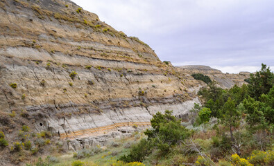 Theodore Roosevelt National Park,