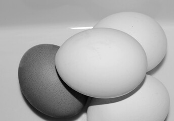 closeup raw natural eggs