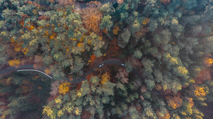 Fall forest landscape with rural road view from above. Colorful nature background. Autumn forest aerial drone view.Idyllic fall scenery from a birds eye view.Trees with yellow and orange leaves.Season