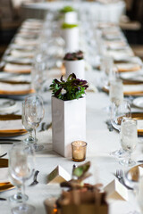 Table setting for a large group.