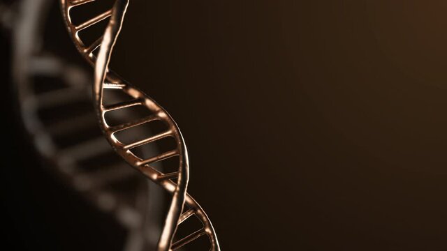 Abstract metallic glittering golden DNA double helix with depth of field rotating. Mysterious science animation. Genom futuristic footage. Conceptual design of genetics information. 4k UHD.