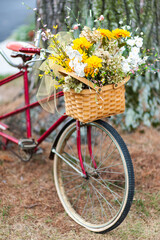 Fototapeta na wymiar Old bicycle with basket of flowers.