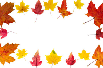 Closed frame of autumn leaves of different colors and different types on a white background.