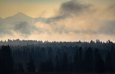 Selbstklebende Fototapete Wald im Nebel Yellowstone Nationalpark