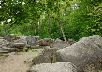 Fototapeta na wymiar stone path in the forest