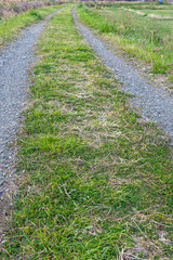 田舎の道の轍