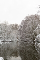 Fototapeta na wymiar Rotschild park in France under the snow