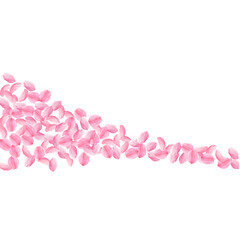 Sakura petals falling down. Romantic pink bright m