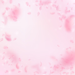 Sakura petals falling down. Romantic pink flowers 