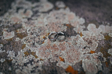 Ringdetails der Eheringe