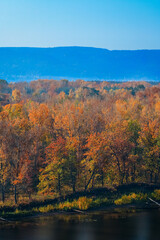 Beautiful panorama of the autumn forest, on the mountain hills.
