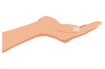 Facing up womans hand vector illustration isolated on white background. Female open palm up in getting or receiving something gesture, holding, showing, presenting product business concept