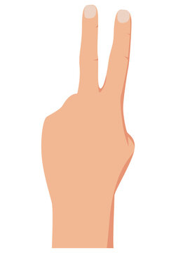Gesture with fingers lifted up showing number two. Vector illustration with counting hand isolated on white background. Sign of peace