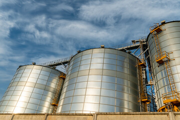 silver silos on agro manufacturing plant for processing drying cleaning and storage of agricultural products, flour, cereals and grain. Large iron barrels of grain. Granary elevator