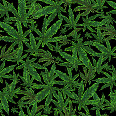 Seamless illustration of cannabis leaves on a red background. Medical pattern, postcard, logo, clothing, textiles, bed