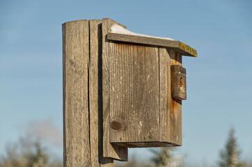 A Wooden Birdhouse with some Snow on Top