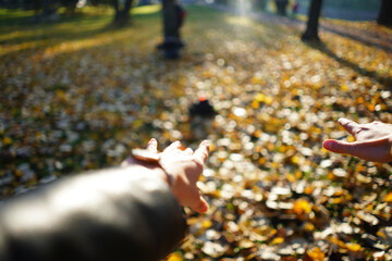 leaves in hand