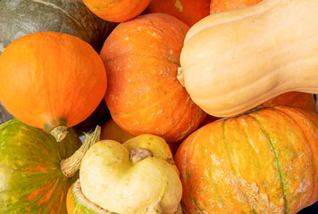 A close-up of several ripe beautiful pumpkins. Horizontal orientation, top view, selective focus.