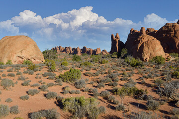 Travel and Tourism - Scenes of the Western United States. Red Rock Formations In Arches National...