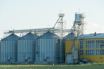 silver silos on agro manufacturing plant for processing drying cleaning and storage of agricultural products, flour, cereals and grain. Large iron barrels of grain. Granary elevator