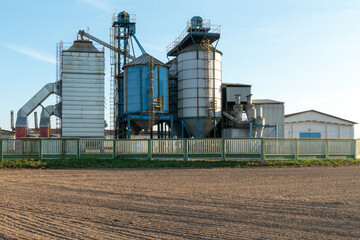 Obraz premium silver silos on agro manufacturing plant for processing drying cleaning and storage of agricultural products, flour, cereals and grain. Large iron barrels of grain. Granary elevator