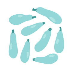 Vector illustration of blue zucchini. Set of zucchini isolated on white background. Illustration of vegetables. Vegan concept. Suitable for illustrating healthy eating, recipes, local farm.