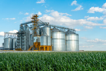 silver silos on agro manufacturing plant for processing drying cleaning and storage of agricultural products, flour, cereals and grain. Large iron barrels of grain. Granary elevator