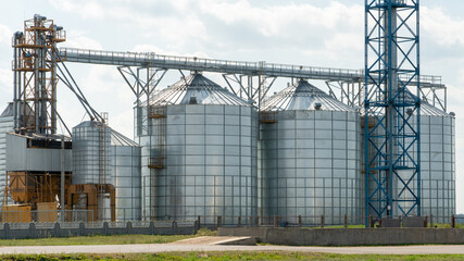Obraz premium silver silos on agro manufacturing plant for processing drying cleaning and storage of agricultural products, flour, cereals and grain. Large iron barrels of grain. Granary elevator