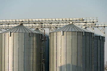 silver silos on agro manufacturing plant for processing drying cleaning and storage of agricultural products, flour, cereals and grain. Large iron barrels of grain. Granary elevator