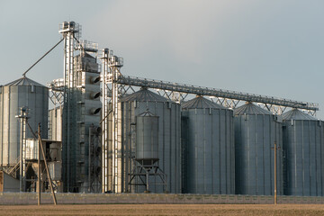 silver silos on agro manufacturing plant for processing drying cleaning and storage of agricultural products, flour, cereals and grain. Large iron barrels of grain. Granary elevator