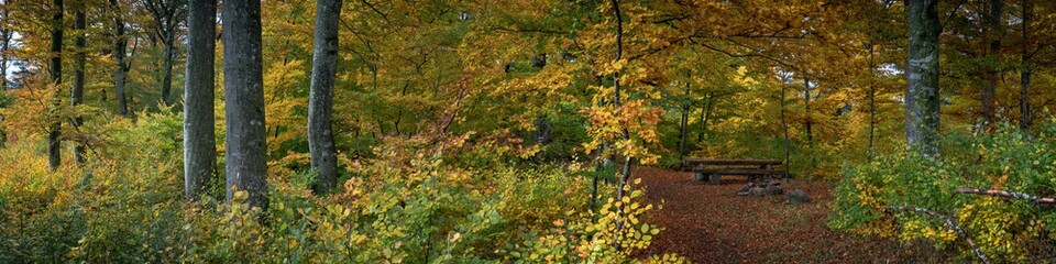 Colors of fall IV, Pano 4:1