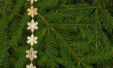 Christmas tree branches background with golden snowflakes border and copy space. Close-up of fir branches.