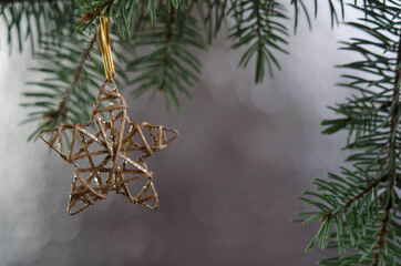 Gold star on a Christmas tree branch on a silver background.