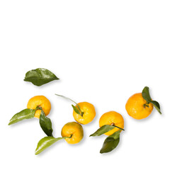 Orange tangerines isolated on white background. Flat lay, top view. Autumn minimal concept. Square frame.