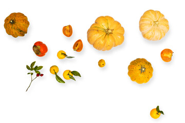 rose hips and yellow fruits and vegetables: pumpkin, japanese quince, tangerine, persimmon, slice, lemon, orange on a white background.