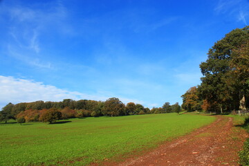 Green field in England