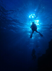 Diver in blue, near St. Johns in Red Sea, Egypt, underwater photograph