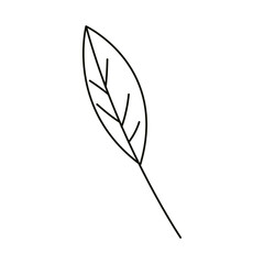 leaves line icon style, ecology leaf nature
