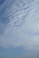 Cirrocumulus floccus, lebhaftes Wolken Bild mit blau und weiß in enger Abfolge