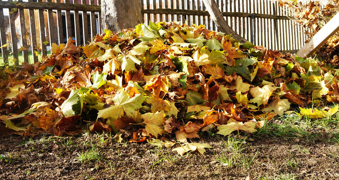 Bunter Laub Bl&auml;tter Haufen im Garten