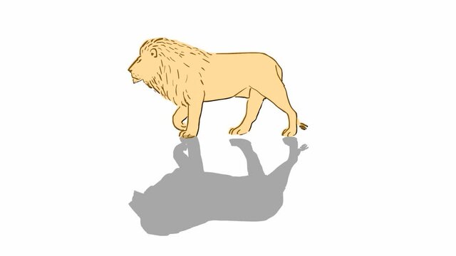 African lion silhouette (seamless loop animation)