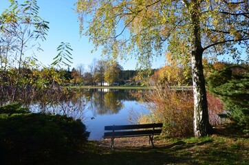 Fototapeta na wymiar Rastplatz am Teich unter einer Birke im Herbst