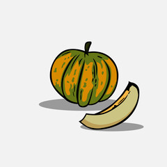 Vector illustration of cantaloupe. Fruit vector illustration.